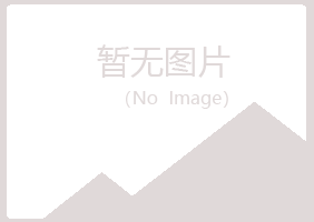 龙岩新罗山柏金属有限公司